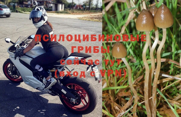 дурь Майский
