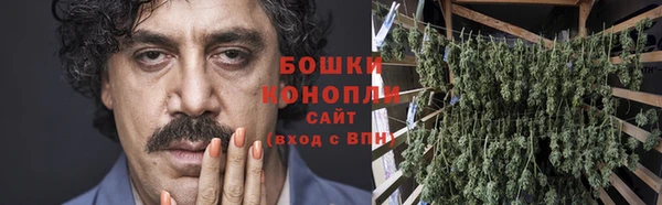 ГАЛЛЮЦИНОГЕННЫЕ ГРИБЫ Медногорск