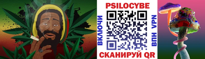 Псилоцибиновые грибы Psilocybe  закладки  Мелеуз 